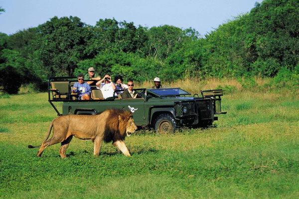 welcome to jokam tours and&nbsp;safaris